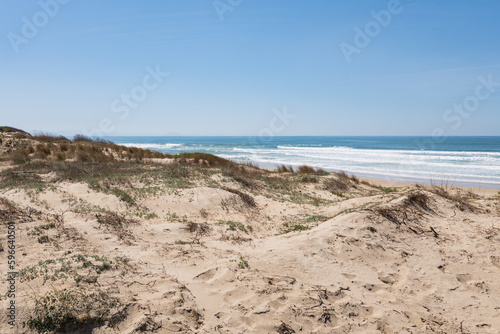 Sand dunes in France s Conservation Area