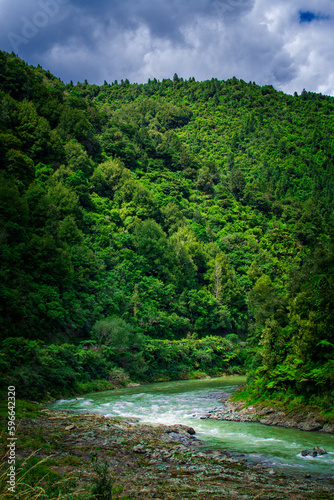 Fast river flowing in a rocky riverbed at the bottom of Waioeka Gorge, North Island, New Zealand