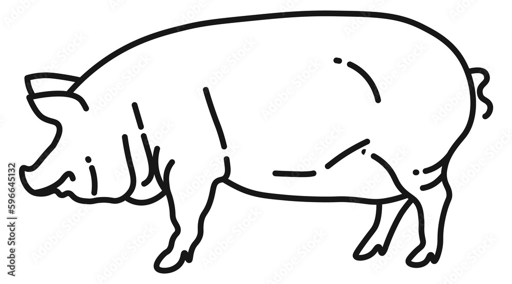 Pig icon. Black line farm animal symbol