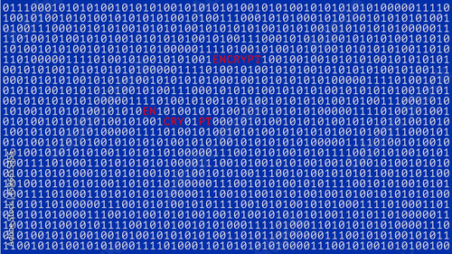 Search for encryptions in binary data. The word ENCRYPTION is written among zeros and ones.