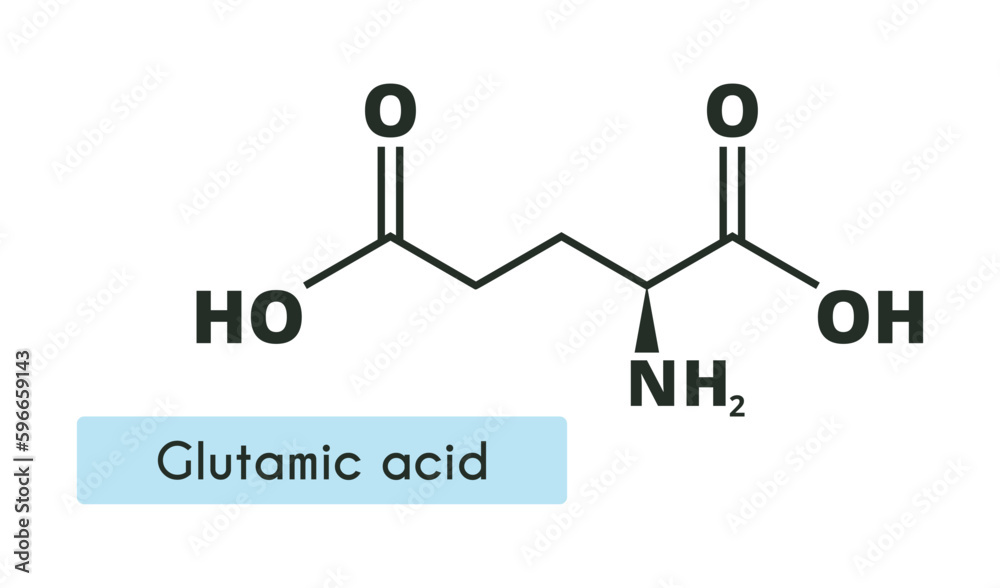 Glutamic acid Molecule Structure. (lglutamic acid, Glu, E) Skeletal