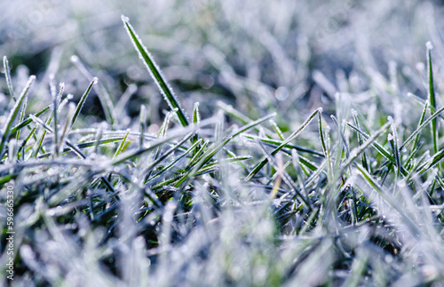 frost ice crystals on grass in garden.
