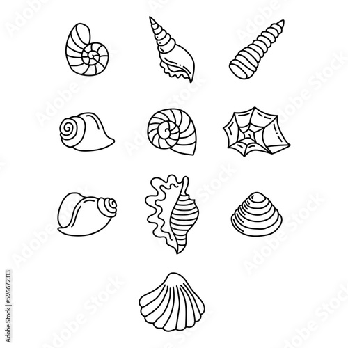 Illustration with seashell nautilus. Object for logo, card, flyer. Minimalist sign for logo, emblem, banner. Hand drawn illustration with ammonite fossil in modern style