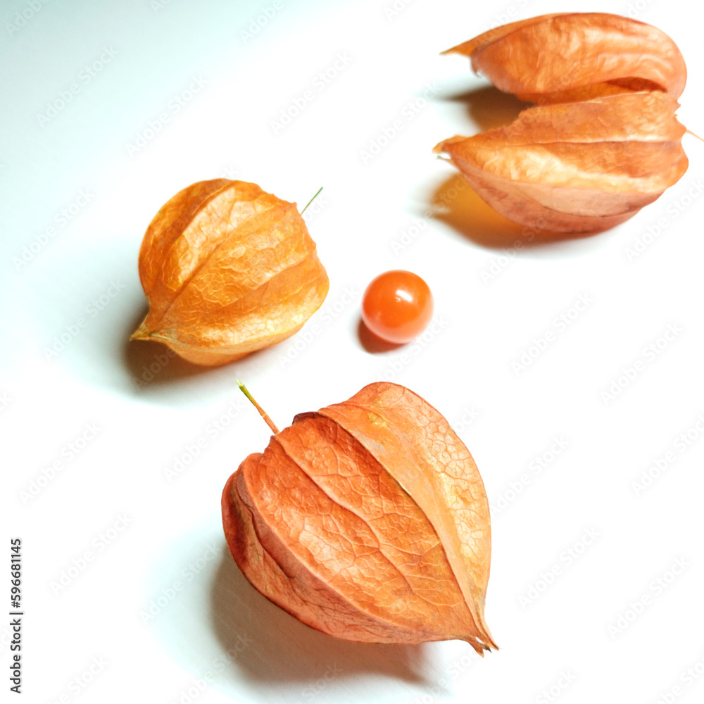 Thanksgiving, holiday symbols, autumn, physalis, fruits for cooking and cosmetology. Elements on white background
Thanksgiving, holiday symbols, autumn, physalis, fruits for cooking and cosmetology. Elements on white background