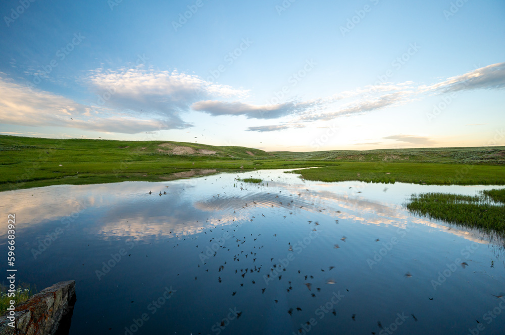 Birds and Clouds Reflect in Temporary Pool near Yellowstone River Birds and Clouds Reflect in Temporary Pool near Yellowstone River