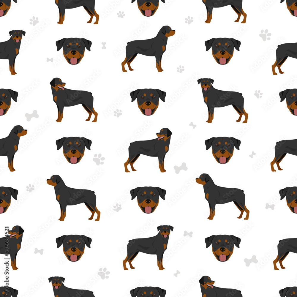 Rottweiler seamless pattern. Different poses, coat colors set.  Vector illustration