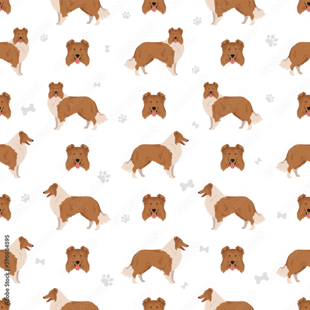 Rough collie seamless pattern. Different poses, coat colors set