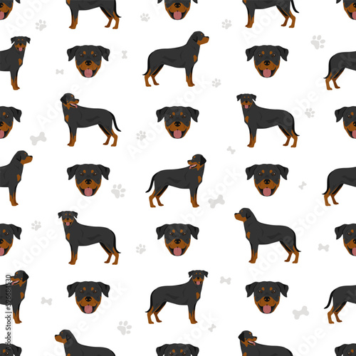 Rottweiler seamless pattern. Different poses, coat colors set.  Vector illustration