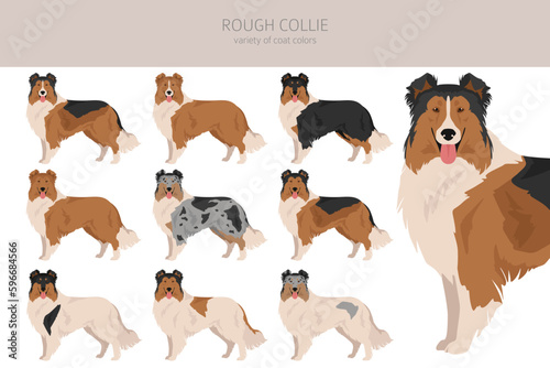 Rough collie clipart. Different poses, coat colors set