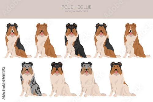 Rough collie clipart. Different poses, coat colors set