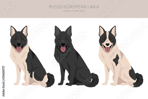 Russo-European Laika clipart. All coat colors set.  All dog breeds characteristics infographic © a7880ss