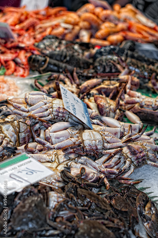 Seafood Wonderland: Exploring the Bountiful Delights of Boqueria Market's Fish Stalls in Barcelona