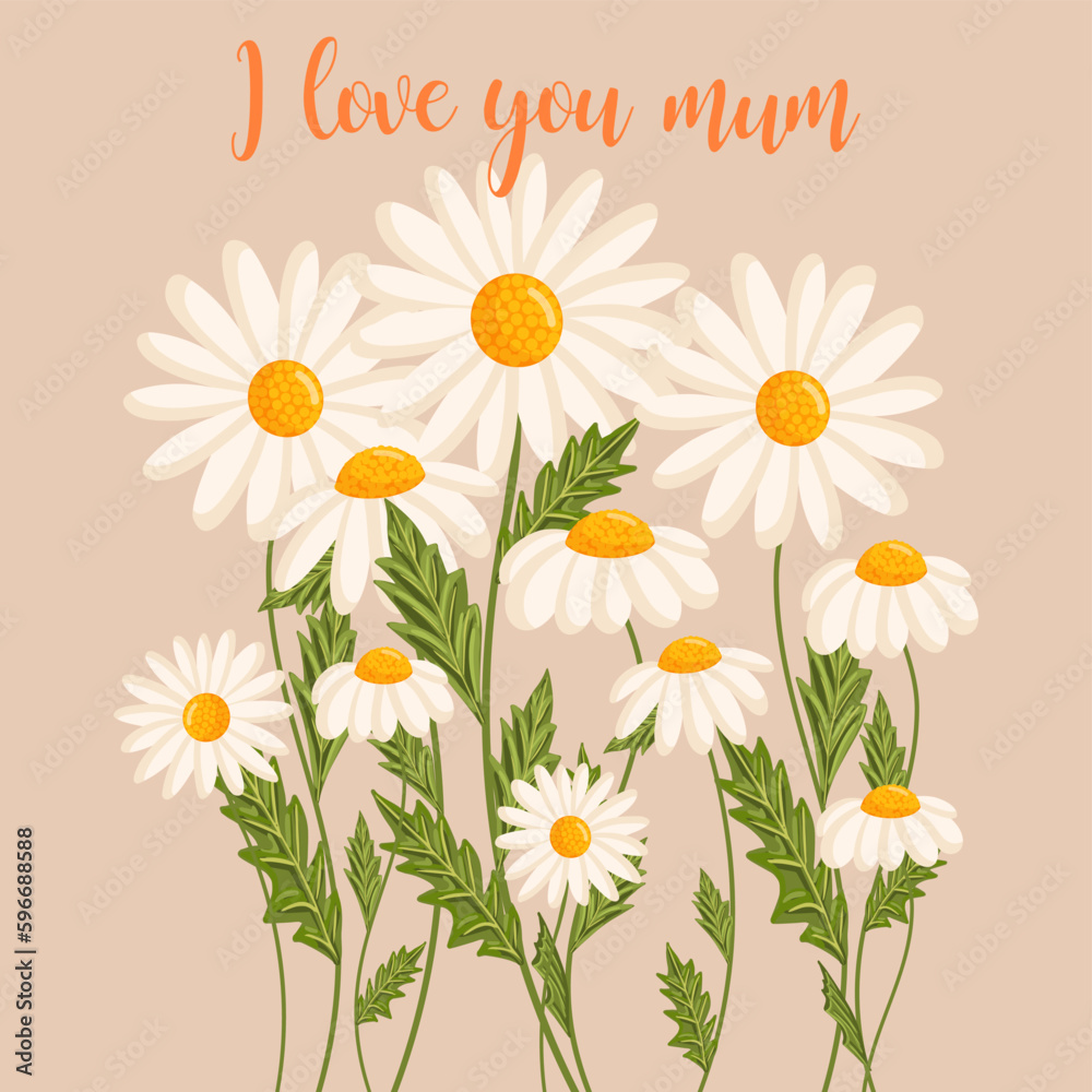 Mother's day greeting card. Several chamomile flowers grow. Botanical vector isolated illustration for postcard, poster, invitation, ad, decor, fabric and other uses. Festive text can be replaced. Mother's day greeting card. Several chamomile flowers grow. Botanical vector isolated illustration for postcard, poster, invitation, ad, decor, fabric and other uses. Festive text can be replaced.
