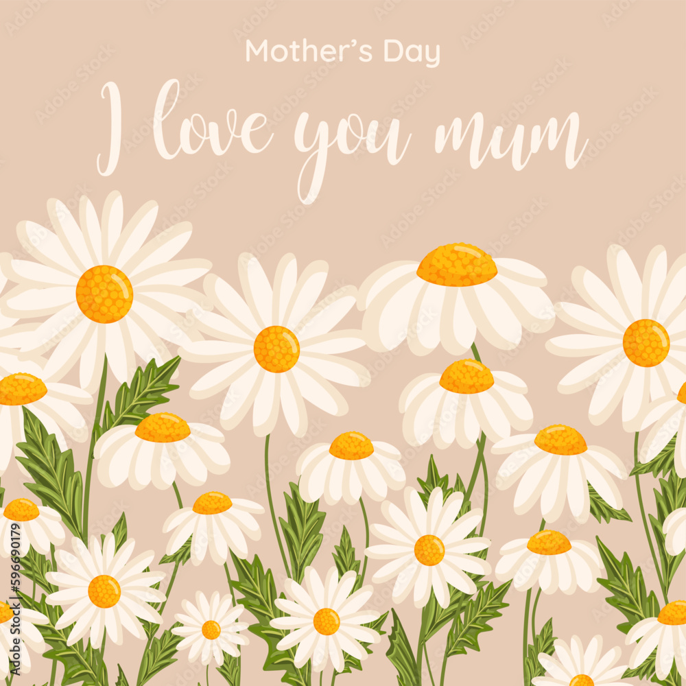 Mother's day greeting card. Seamless pattern for postcard or poster with daisies. Chamomile vector floral illustration for congratulations or decor etc. Festive template can add text. Mother's day greeting card. Seamless pattern for postcard or poster with daisies. Chamomile vector floral illustration for congratulations or decor etc. Festive template can add text.