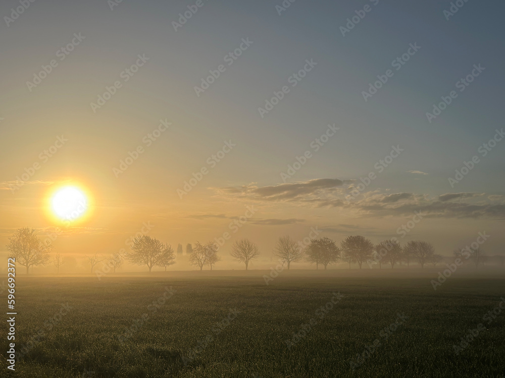 Early morning sunrise in a field