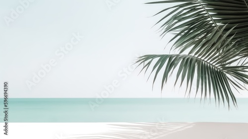 Palm tree leafs on the beach