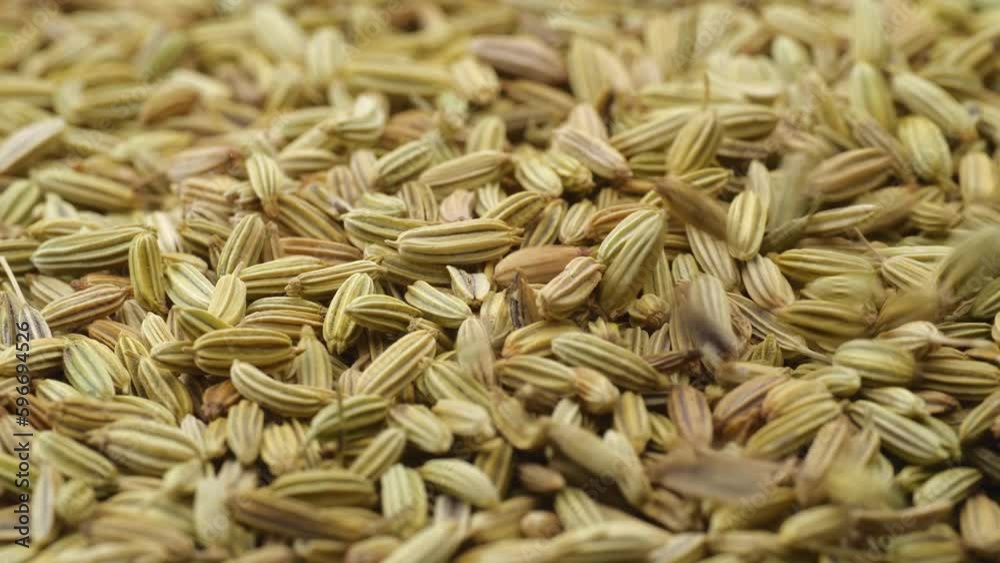 Fennel seeds. Macro shot. Dry fennel seed fall down, macro close up. Fennel seeds. Macro shot. Dry fennel seed fall down, macro close up.