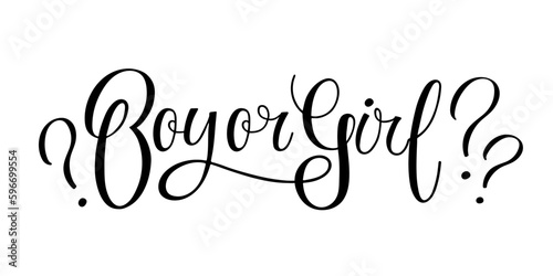 Boy or Girl text isolated on white background. Hand drawn sketched Text. Typography template for gender reveal party invitation or decoration. Modern brush calligraphy phrase