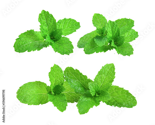 mint leafs herb. isolated on transparent png