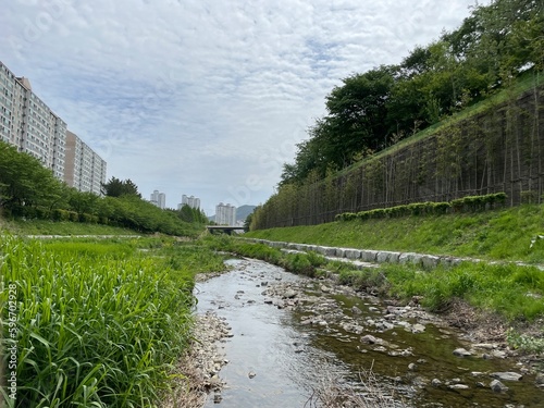 한국 김해시 율하천 산책로에서 촬영한 사진 photo