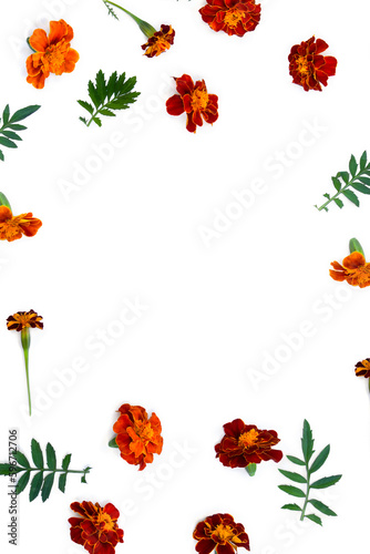 Fototapeta Naklejka Na Ścianę i Meble -  Marigold (Tagetes) flowers  on a white background with space for text. Top view, flat lay