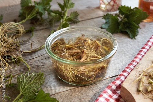 Nettle root macerating in alcohol - preparation of tincture