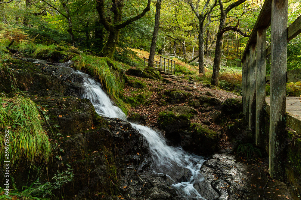 waterfall in the forest