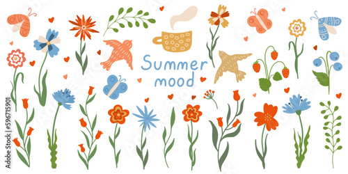 Wildflowers set. Summer floral collection. Hand drawn flat vector illustration of meadow flowers, butterflies and flying birds. Summer mood lettering.