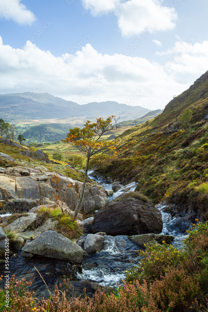 stream in the mountains stream in the mountains
