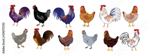 Set of chicken hen rooster icon character hand drawn vector illustration. Pet poultry farm animal symbol.