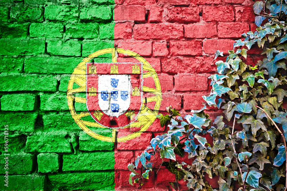 Fototapeta premium Portugal grunge flag on brick wall with ivy plant