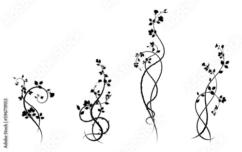 rose pattern elements for ornament plants prickly
