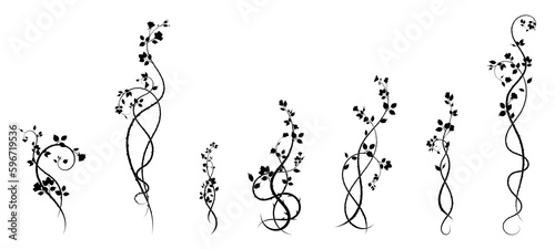 new selection ornament roses weaving plant for