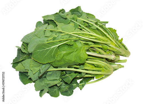 Rapeseed(canola) leafy vegetables isolated on a png background.
