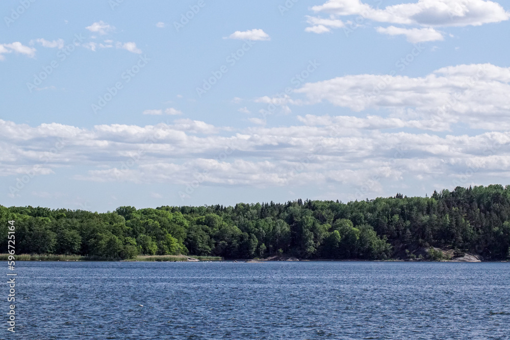 lake in the forest