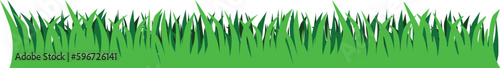 green grass background