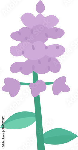 anise  icon