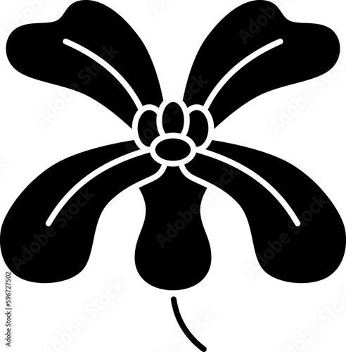 arugula  icon