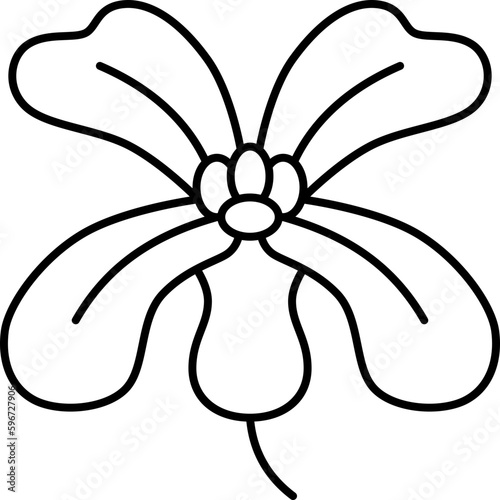 arugula  icon