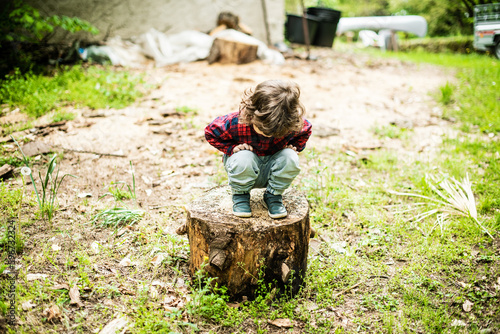 three year old boy in casual red plaid shirt crouching on a stump in the woods