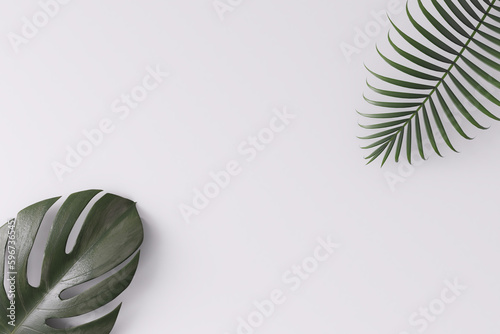 Tropical palm leaves on a white background for designs. Summer Styled. High quality image. Top view 