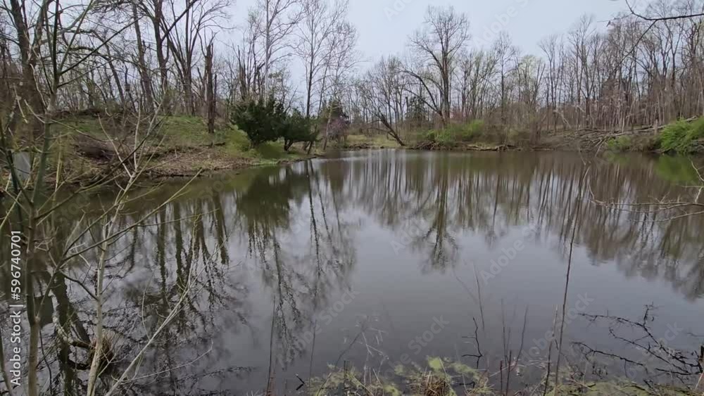 Looking around at tranquil nature lake scene Looking around at tranquil nature lake scene
