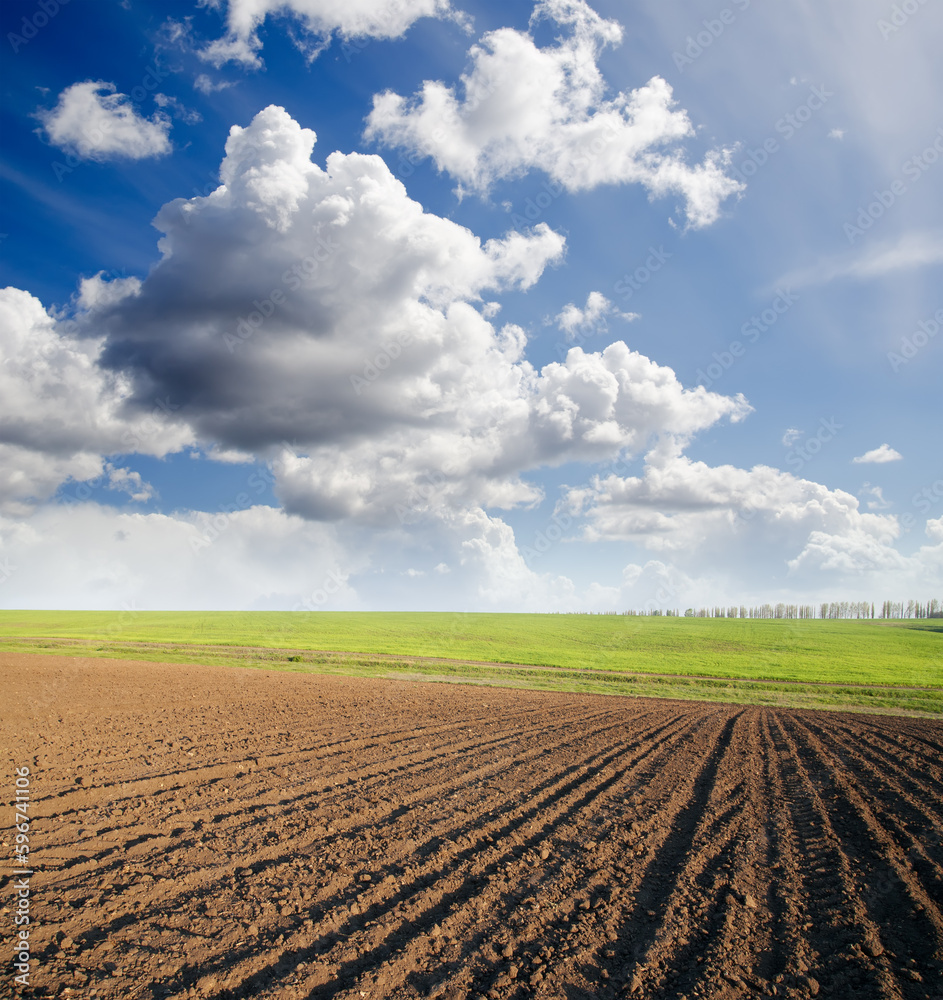 ploughed field