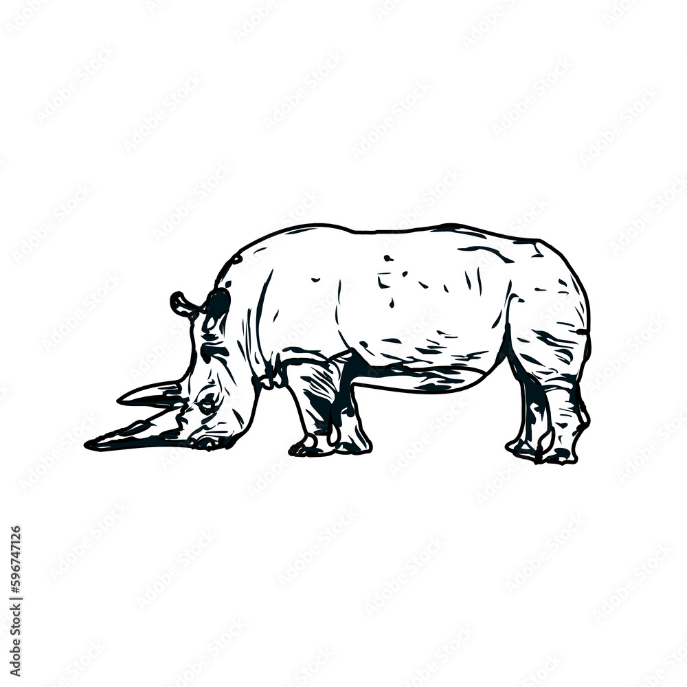 Obraz premium black and white sketch of a rhinoceros with transparent background