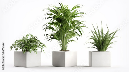 Potted plants isolated on a white background, Generative AI
