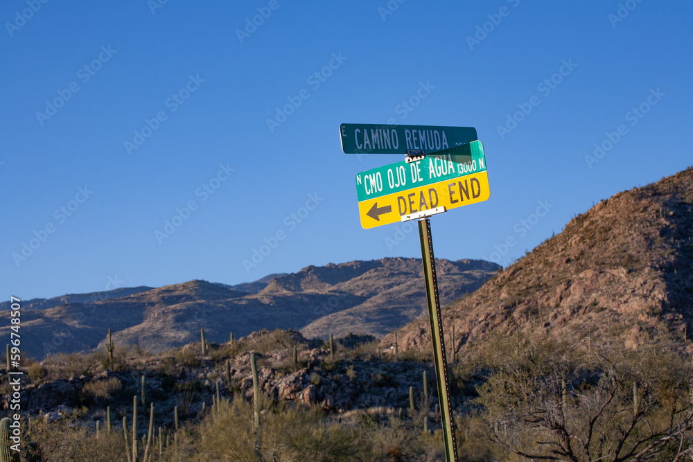 dead end sign at the desert