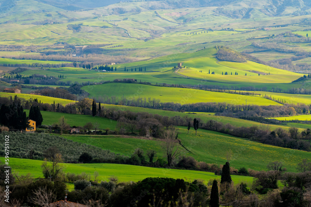 Tuscany, green landscape in springtime. Italy