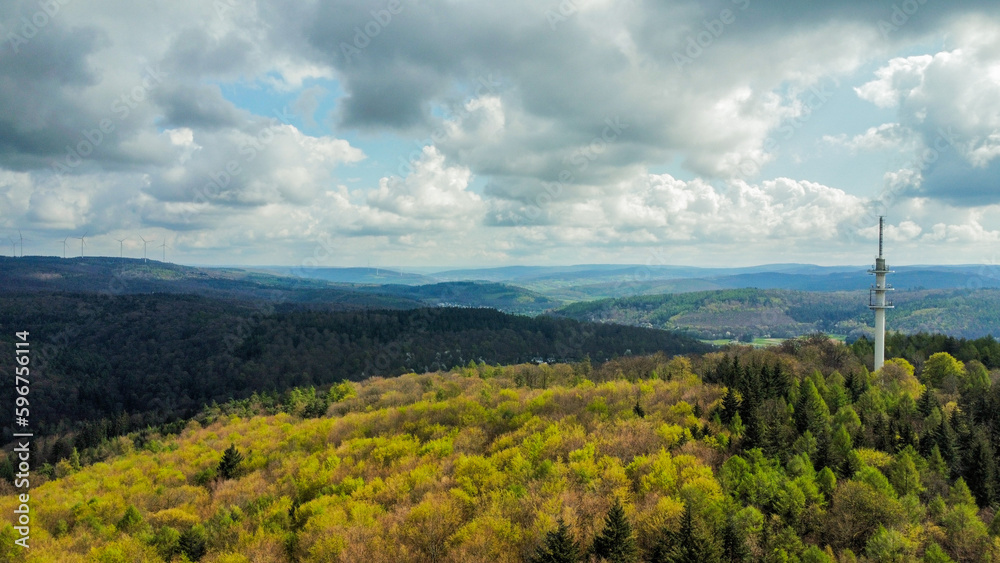 Forrest from above taken by a drone, cloudy sky and wide panoramic view