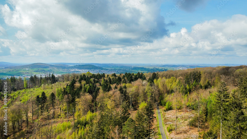 Forrest from above, cloudy sky and wide panoramic view Forrest from above, cloudy sky and wide panoramic view