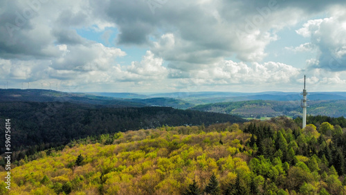 Forrest from above taken by a drone, cloudy sky and wide panoramic view